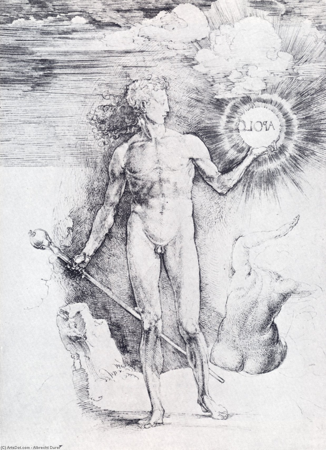 Apollo With The Solar Disc — Albrecht Dürer
