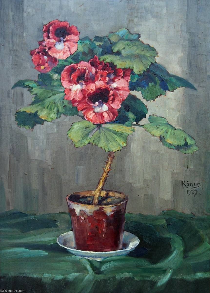 Deutsch Blume Im Topf (pelargonie) — Albert Koenig