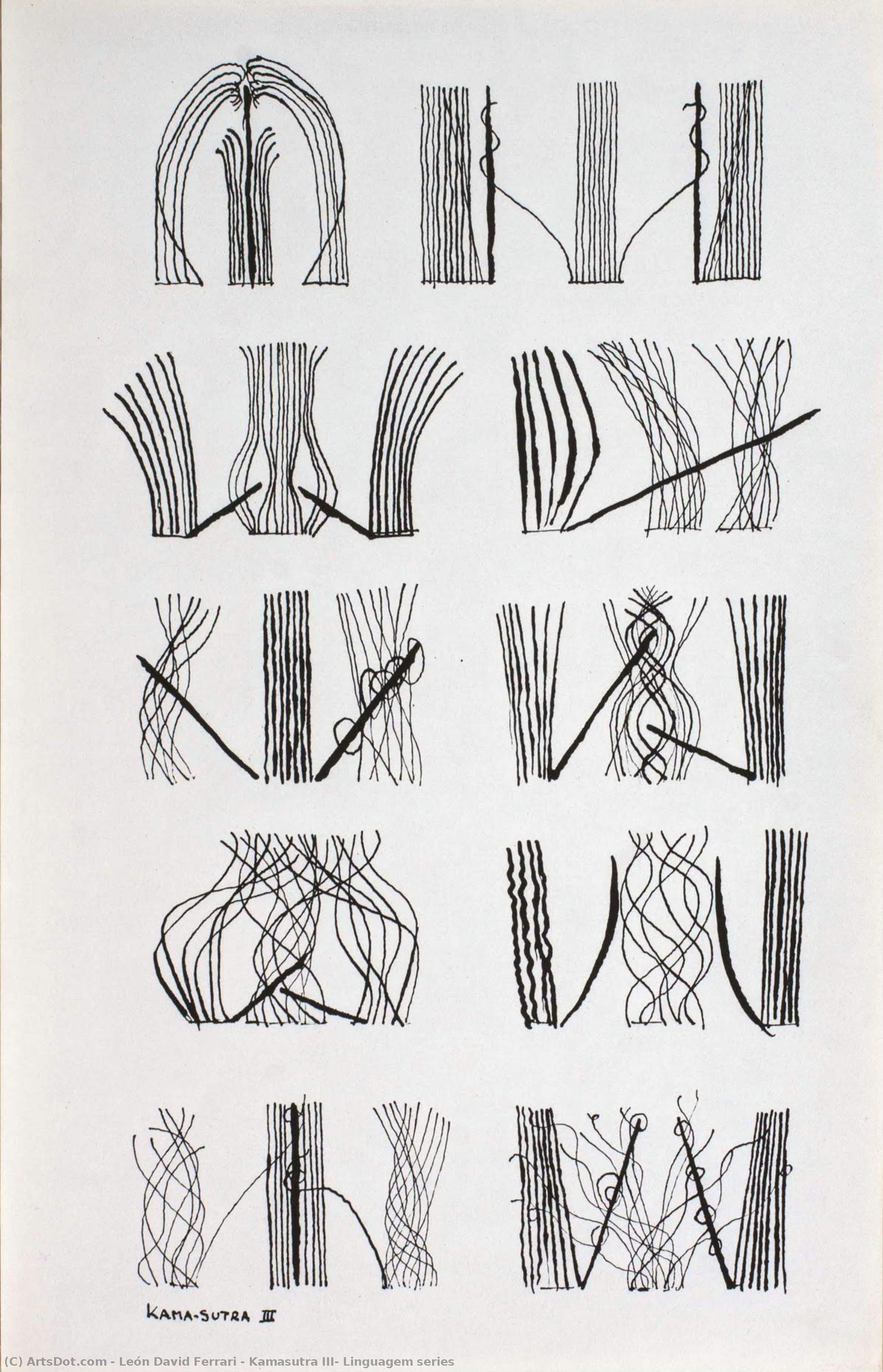 Kamasutra Iii, Linguagem Series — León David Ferrari