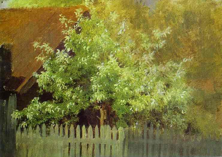 Bird-cherry Tree — Isaak Ilyich Levitan