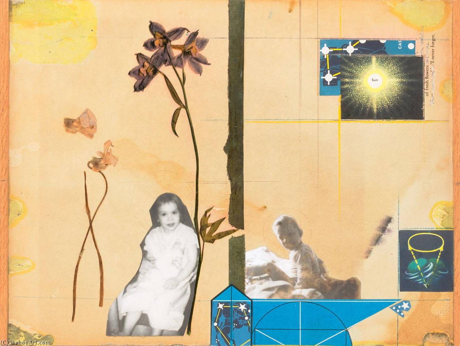 Untitled (sharon And Lafcadio, Real Violets From A Sister) — Joseph Cornell