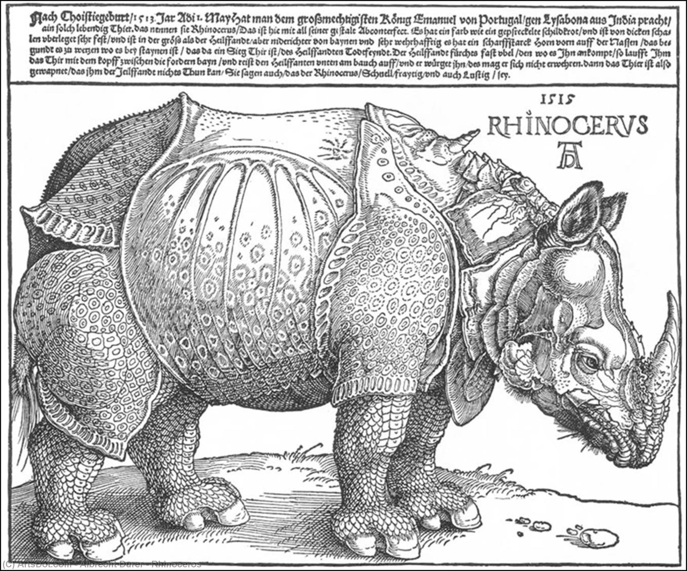 Rhinoceros — Albrecht Dürer