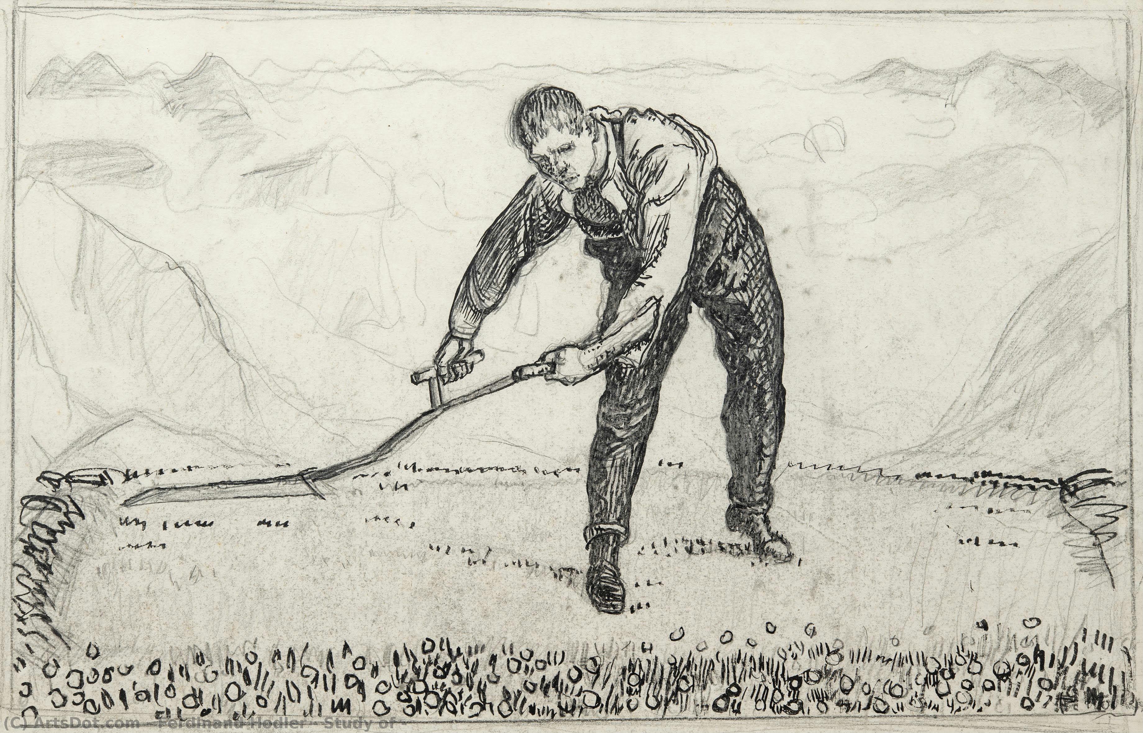 Study Of — Ferdinand Hodler