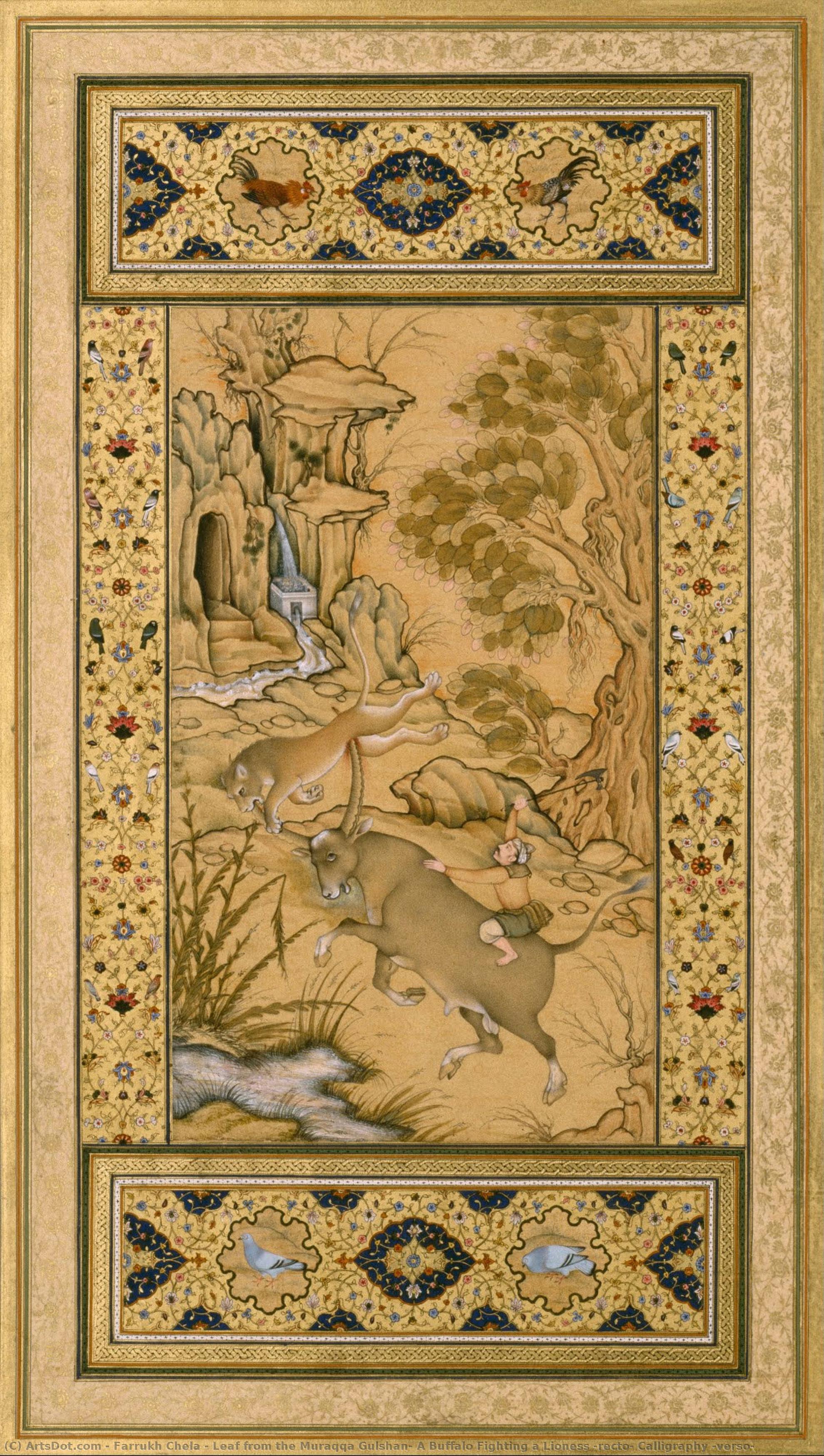 Leaf From The Muraqqa Gulshan: A Buffalo Fighting A Lioness (recto) Calligraphy (verso) — Farrukh Chela