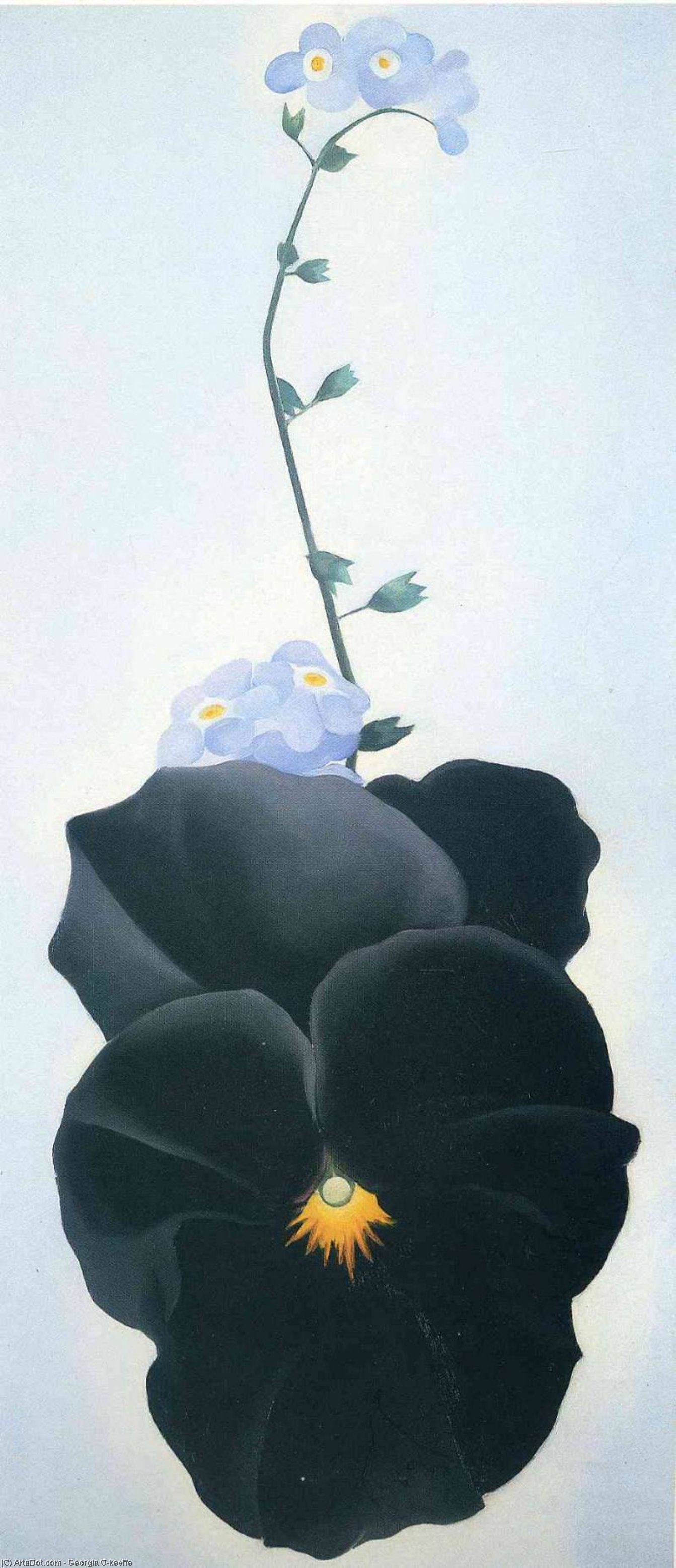 Pansy — Georgia O'keeffe