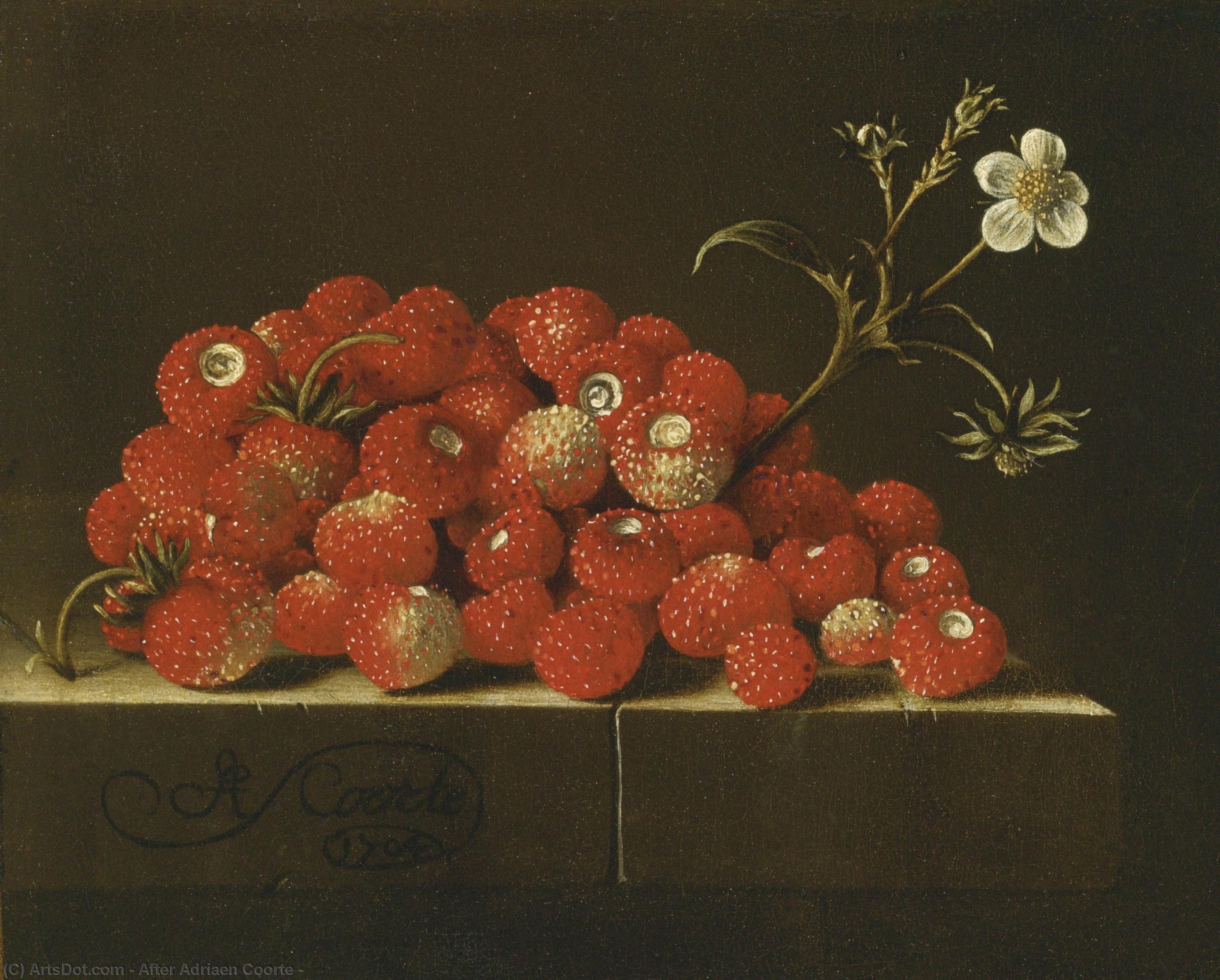 Untitled (aqrd9w) — After Adriaen Coorte
