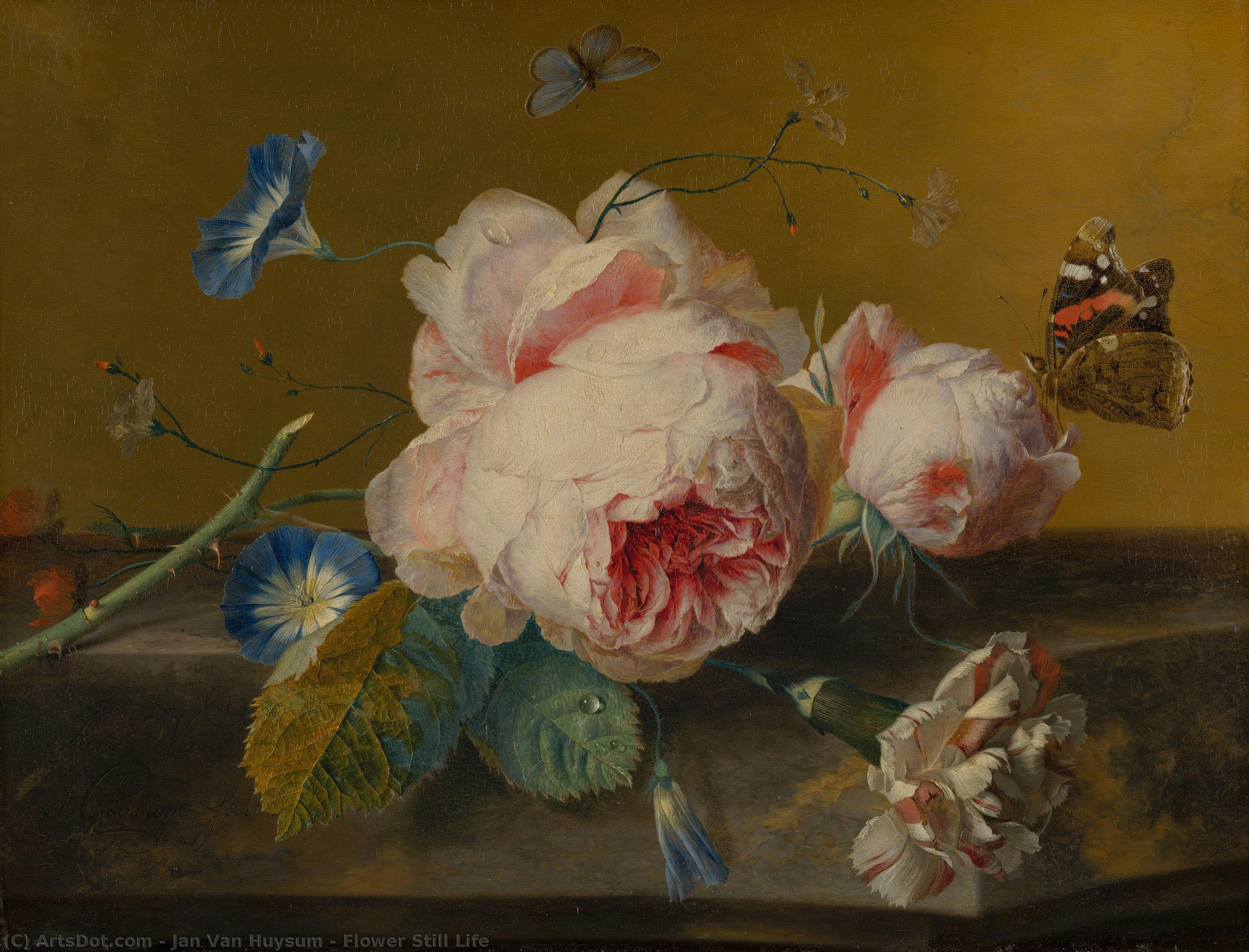Flower Still Life — Jan Van Huysum