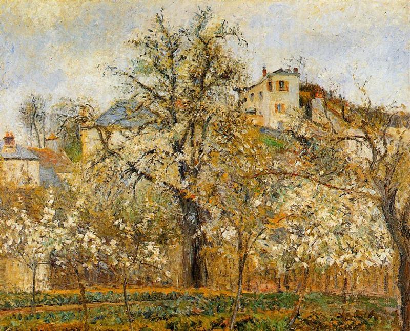 Kitchen Garden Witih Trees In Flower, Spring, Pontoise — Camille Pissarro