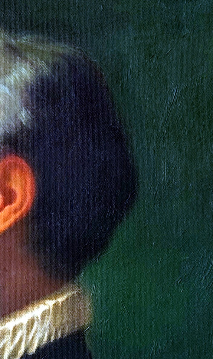 Jean Parisot de Valette - detail