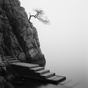 Solitude In Monochromatic Mist: A Singular Descent Into The Ethereal Void — Laurent Garnier, Sumi-e Modern Style