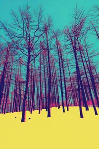 Cyan Rhythm: The Halftone Grove