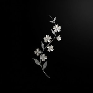 Ethereal Silver Serenity: A Monochromatic Study Of Organic Grace And Silent Light — David Moreau