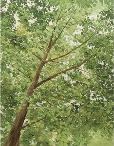 Ethereal Verdant Expansion: A Meditative Study Of Organic Growth And Textured Light — Laurent Fontaine