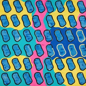 Chromatic Rhythms Of Fluid Cells In A Vibrant Mosaic Of Spontaneous Color — Clément Hardy, Pop Art