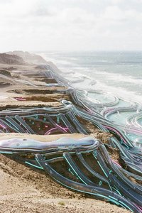 Neural Veins Of The Primordial Coast — Amélie Mercier