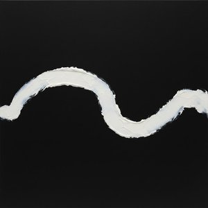 Ethereal Undulation: A Singular Monochromatic Study in Tactile White and Infinite Void