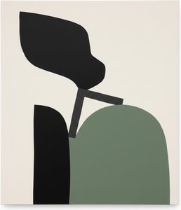 Monolithic Silence: A Meditative Study Of Organic Forms And Sage Shadows — Laurent Fabre