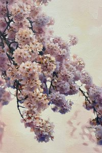 Ephemeral Radiance: A Study In Sakura Bloom — Pauline Caron