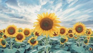 L'éclat Solaire: A Symphony Of Ochre And Sky — Éléonore Richard