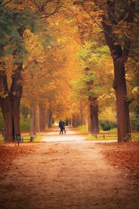 The Amber Solitude: An Autumnal Reflection — Amélie Petit, Post-impressionism