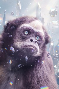 Prismatic Reverie: The Celestial Observer — Hélène Dubois