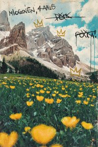 Golden Crowns Over The Silent Peak — Fabien Roussel
