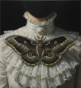 The Silent Sentinel: A Monochromatic Study of Lace and Ethereal Moth
