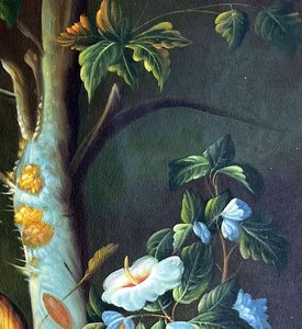 Classical Fruit Still Life With Birds