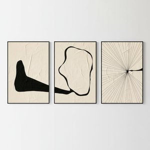 Ephemeral Shadows: A Monochromatic Triptych Of Organic Form And Radial Resonance — Laurent Roche