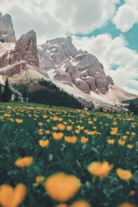 Ephemeral Gold Amidst The Eternal Peak — Jacques Villedieu, Magical Realism