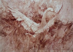 White Goose — Richard Schmid