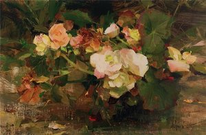 Begonias