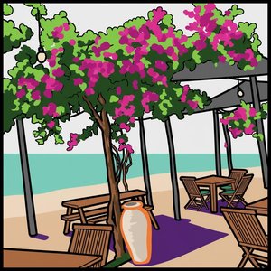 Solstice Serenity: A Vibrant Study Of Magenta Blossoms And Sunlit Coastal Shadows — Caroline Pelletier