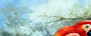 Impressionistic Tropical Macaws On Branch