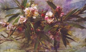 Rhododendron Sketch — Richard Schmid