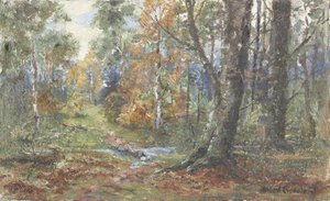 Woodland Scene