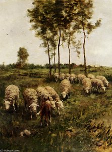Watching the flock