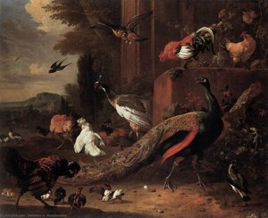The Pair of Peacocks