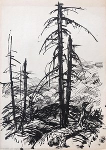Landscape With Trees. Carpathians — Hryhorii Havrylenko