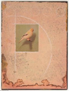 Untitled (yellow Canary On Perch) — Joseph Cornell