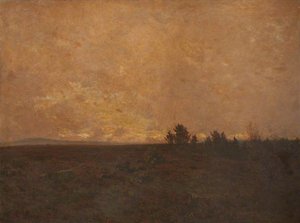 A Lonely Heath