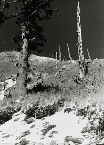 Nostalgic Mountains – Aftermath （mount Hehuan） — Huang Tse-hsiu