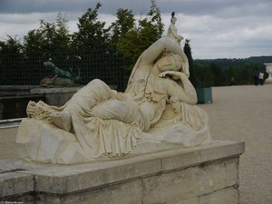 Photograph Taken At The Park