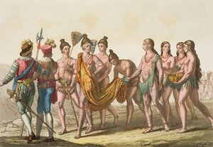 Caciche Ruler Accompanied — Gallo Gallina