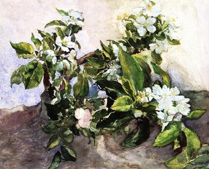 Apple Blossoms — John La Farge
