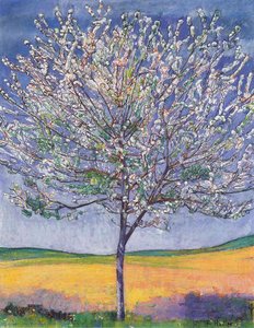 Cherry Tree In Bloom — Ferdinand Hodler