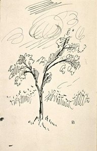 Study Of Tree Trunk Hail — Pierre Bonnard