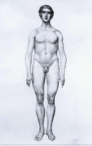 Study Of The Human Figure, Anterior View, From 'a Comparative Anatomical Exposition Of The Structure Of The Human Body With That Of A Tiger And A Common Fowl' — George Stubbs, Romanticism