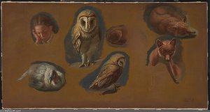 Studies Of A Fox, A Barn Owl, A Peahen, And The Head Of A Young Man — Jacques Laurent Agasse