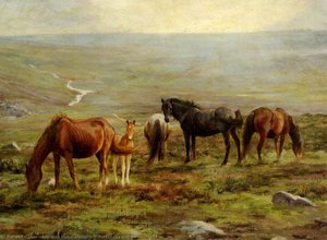 Horses Grazing On Moorland — Florence Mabel Hollams